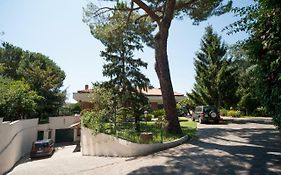 Mons Aureus Resort